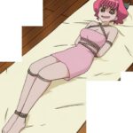 萌えよ剣 OVA
