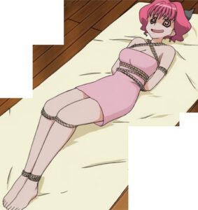 18 - コピー (8) - コピー - コピー