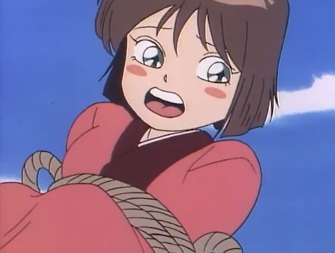 323
