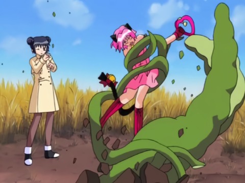 3 - コピー (11) - コピー