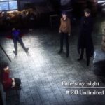 Fate 20話