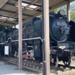 D51 853＆都電6080(飛鳥山公園)