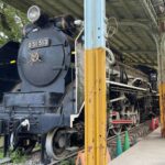 D51 513＆東武1号機(板橋区城北公園)